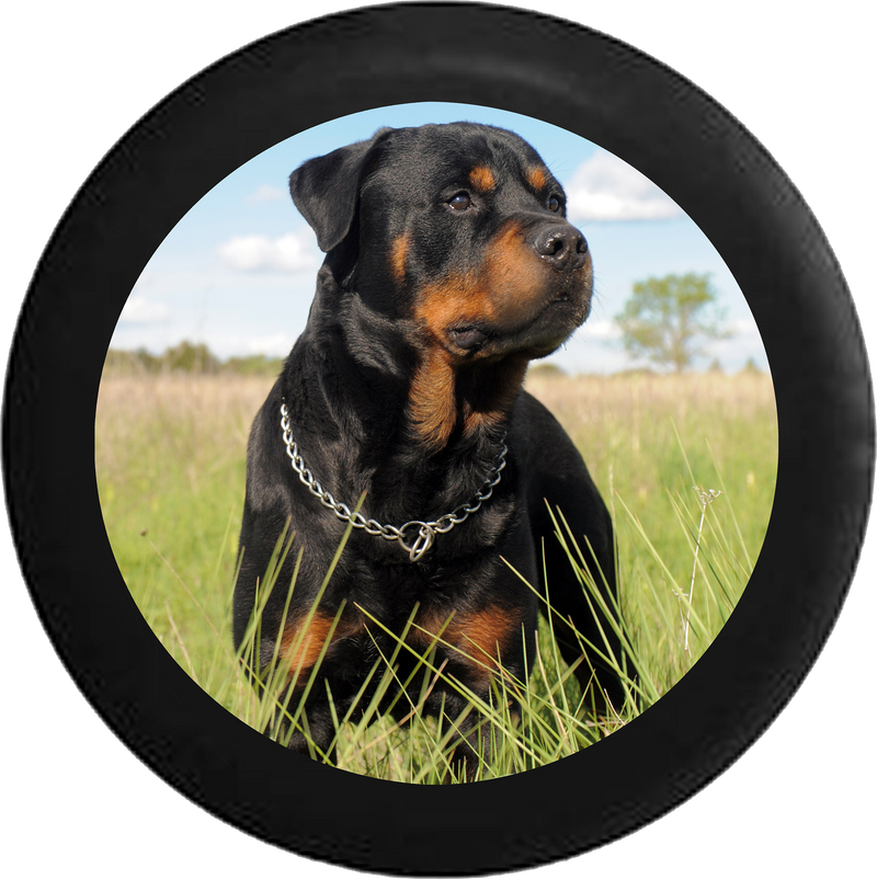 Loyal Rottweiler in a Field Black 'n Tan Jeep Camper Spare Tire Cover BLACK-CUSTOM SIZE/COLOR/INK- R101 - TireCoverPro 